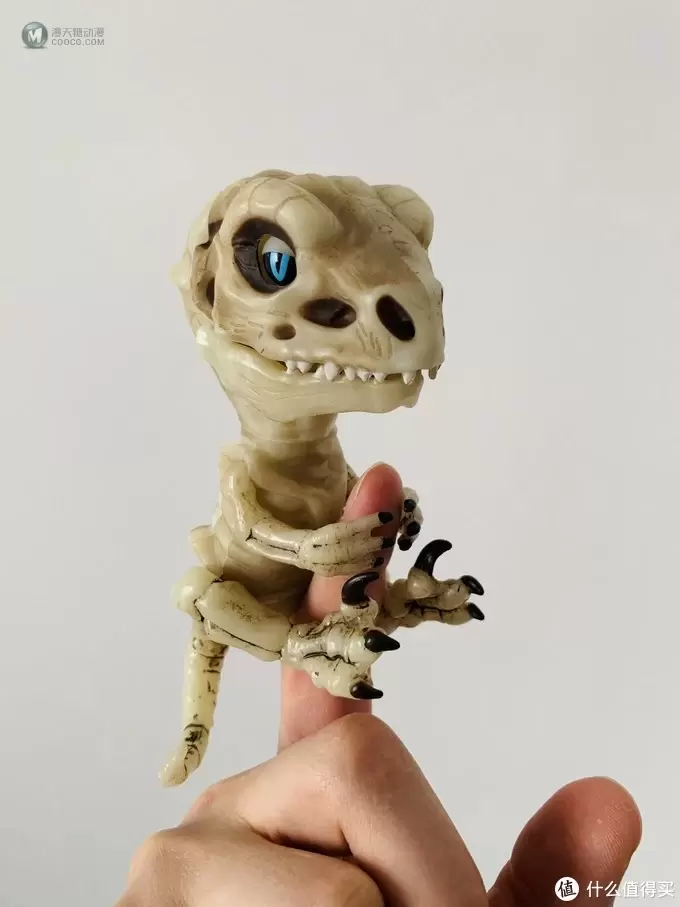 开箱篇 篇一：中年人的小玩具，WowWee 凶猛迅猛龙骨架手指玩具