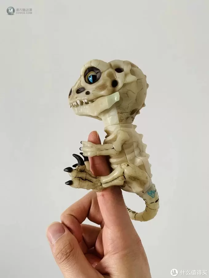 开箱篇 篇一：中年人的小玩具，WowWee 凶猛迅猛龙骨架手指玩具