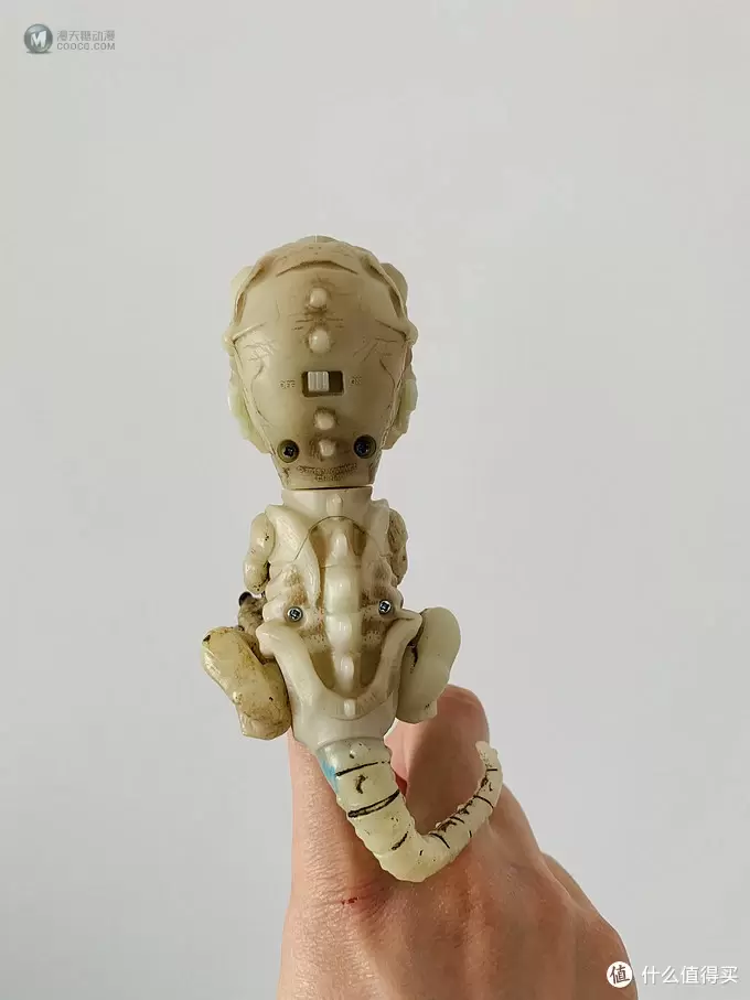 开箱篇 篇一：中年人的小玩具，WowWee 凶猛迅猛龙骨架手指玩具