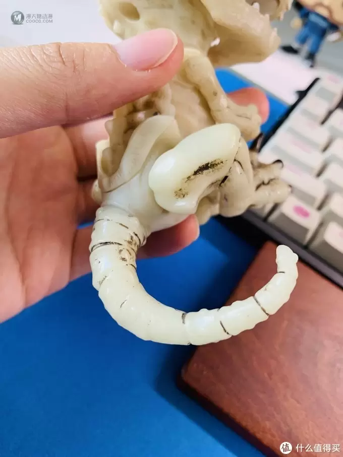 开箱篇 篇一：中年人的小玩具，WowWee 凶猛迅猛龙骨架手指玩具