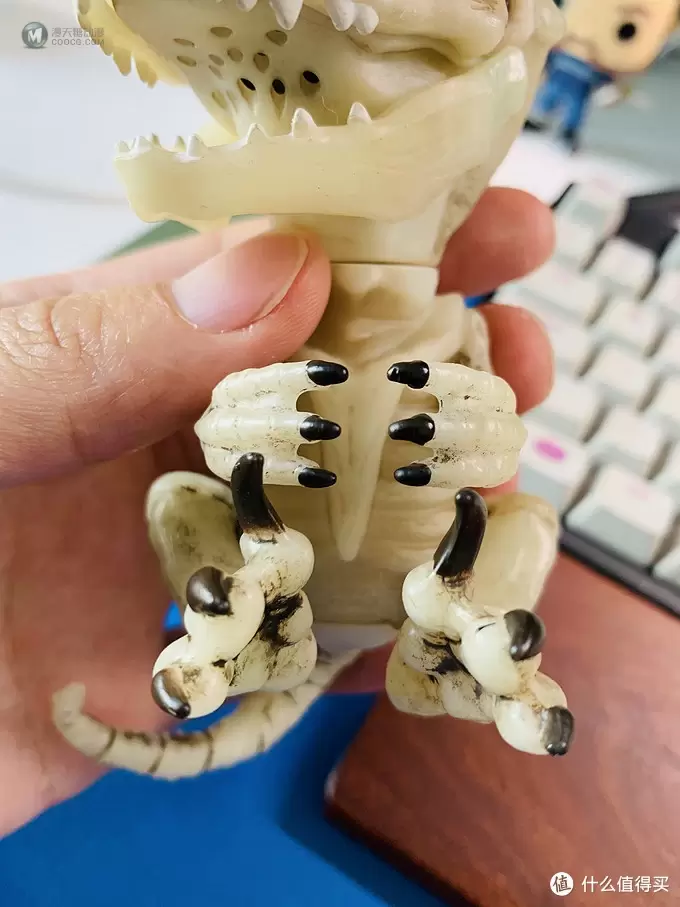 开箱篇 篇一：中年人的小玩具，WowWee 凶猛迅猛龙骨架手指玩具