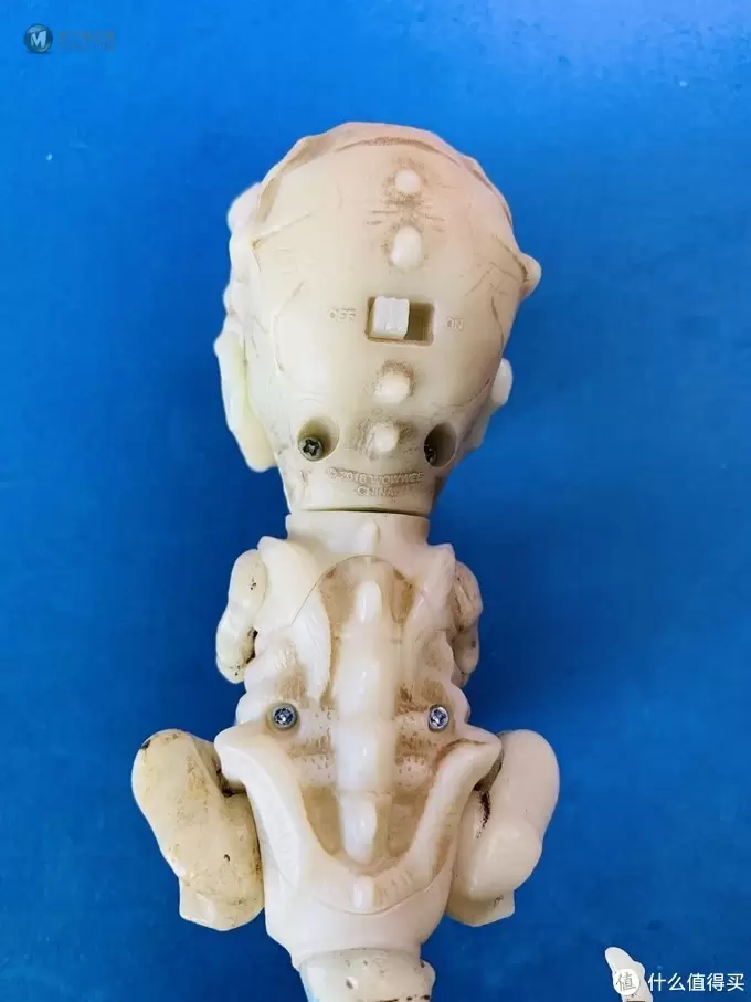 开箱篇 篇一：中年人的小玩具，WowWee 凶猛迅猛龙骨架手指玩具