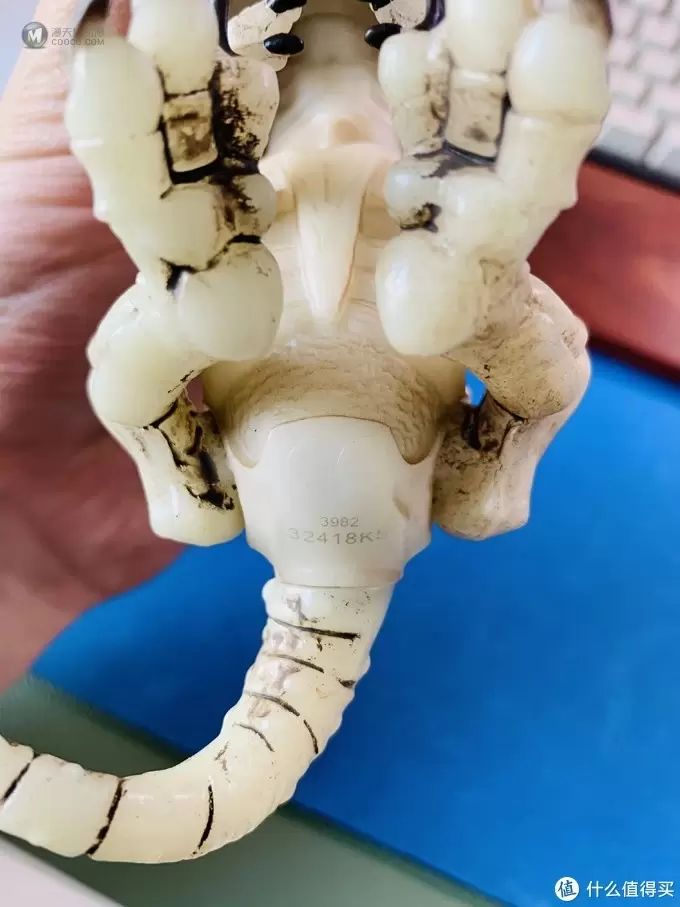 开箱篇 篇一：中年人的小玩具，WowWee 凶猛迅猛龙骨架手指玩具