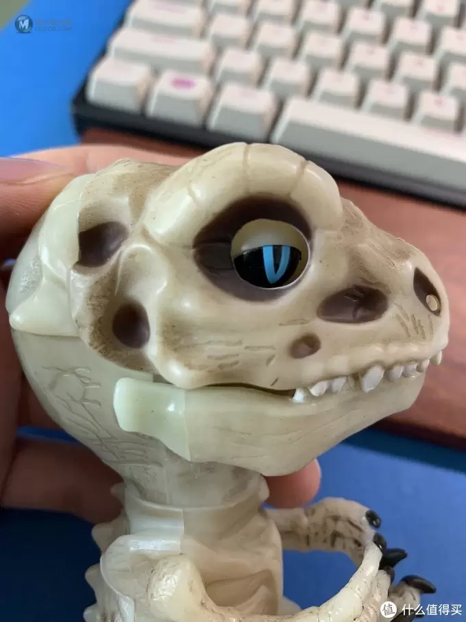 开箱篇 篇一：中年人的小玩具，WowWee 凶猛迅猛龙骨架手指玩具
