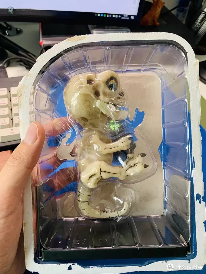 开箱篇 篇一：中年人的小玩具，WowWee 凶猛迅猛龙骨架手指玩具
