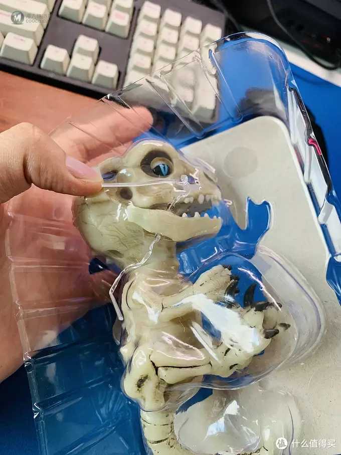 开箱篇 篇一：中年人的小玩具，WowWee 凶猛迅猛龙骨架手指玩具
