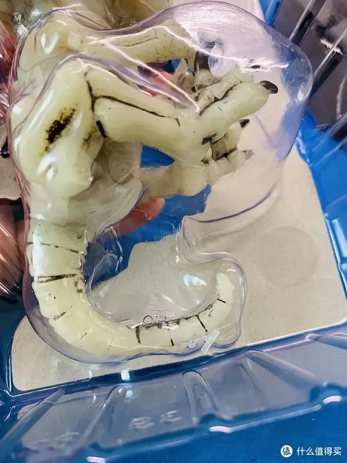 开箱篇 篇一：中年人的小玩具，WowWee 凶猛迅猛龙骨架手指玩具