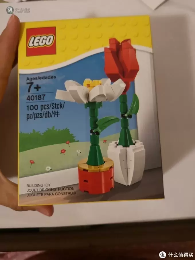 乐高40187花花世界鸳鸯蝴蝶
