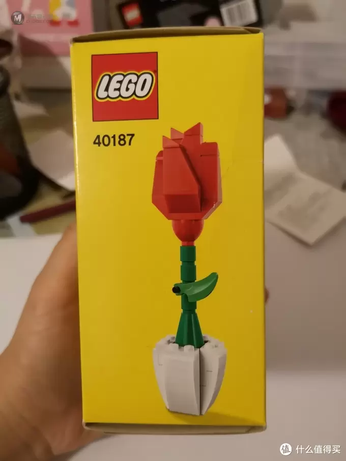 乐高40187花花世界鸳鸯蝴蝶