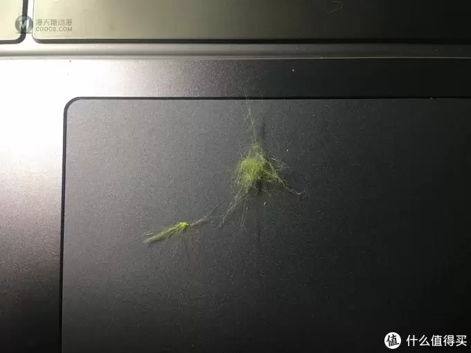 我的精灵球终于抓到皮卡丘啦！大侦探皮卡丘毛绒公仔测评