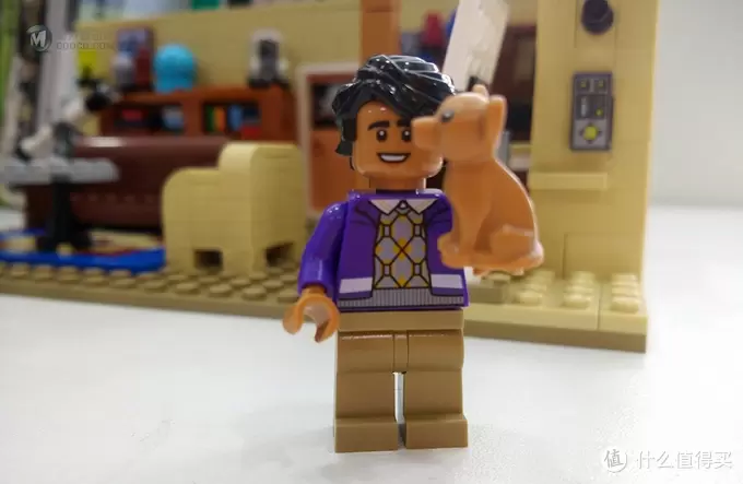 第一次海淘——LEGO 乐高 21302《生活大爆炸》