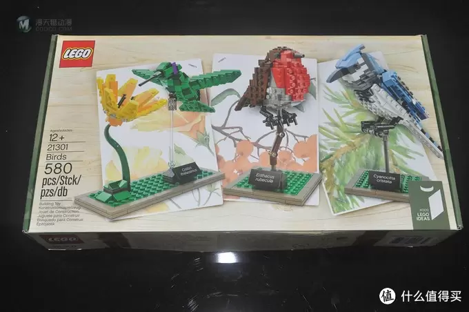 单反毁一生，LEGO穷三代 篇三十：【ebay好物分享会】LEGO ideas 21301 birds 鸟类图鉴