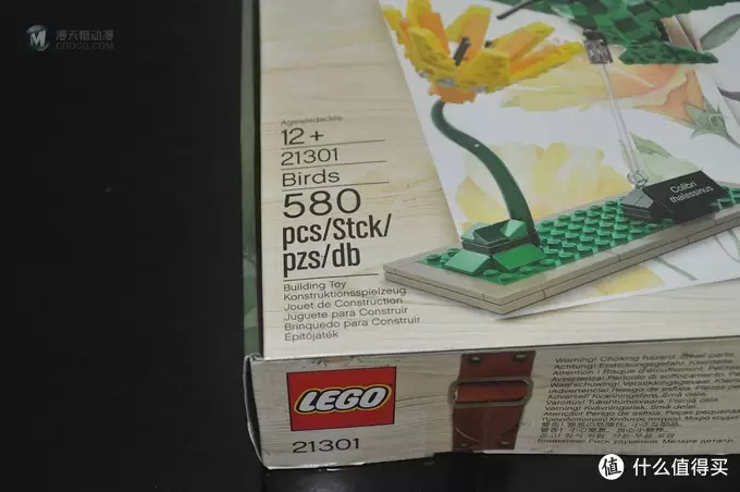 单反毁一生，LEGO穷三代 篇三十：【ebay好物分享会】LEGO ideas 21301 birds 鸟类图鉴