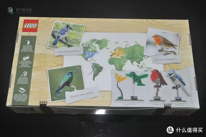 单反毁一生，LEGO穷三代 篇三十：【ebay好物分享会】LEGO ideas 21301 birds 鸟类图鉴