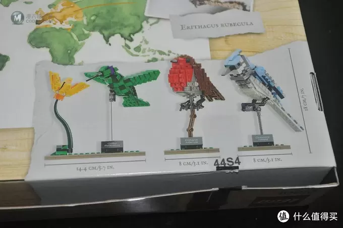 单反毁一生，LEGO穷三代 篇三十：【ebay好物分享会】LEGO ideas 21301 birds 鸟类图鉴