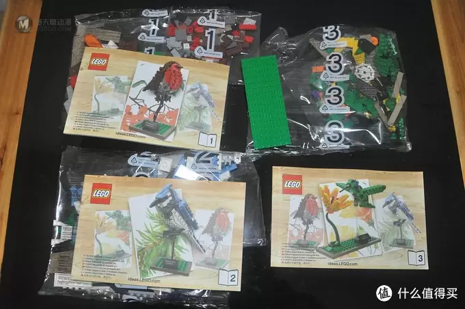 单反毁一生，LEGO穷三代 篇三十：【ebay好物分享会】LEGO ideas 21301 birds 鸟类图鉴