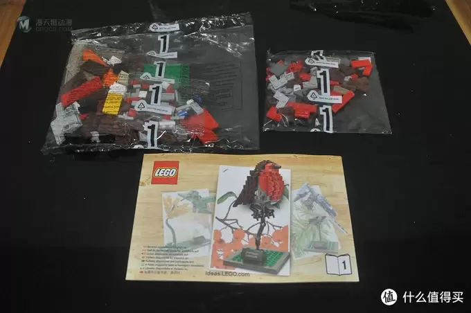 单反毁一生，LEGO穷三代 篇三十：【ebay好物分享会】LEGO ideas 21301 birds 鸟类图鉴