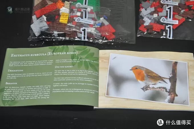 单反毁一生，LEGO穷三代 篇三十：【ebay好物分享会】LEGO ideas 21301 birds 鸟类图鉴