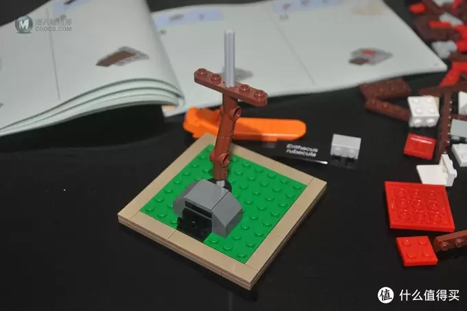 单反毁一生，LEGO穷三代 篇三十：【ebay好物分享会】LEGO ideas 21301 birds 鸟类图鉴