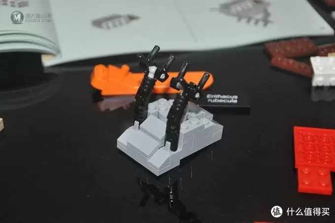 单反毁一生，LEGO穷三代 篇三十：【ebay好物分享会】LEGO ideas 21301 birds 鸟类图鉴