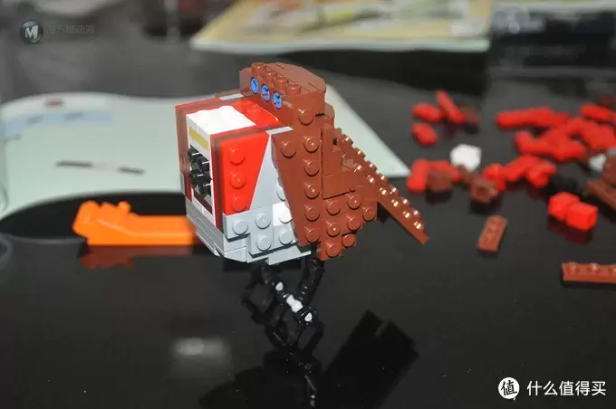 单反毁一生，LEGO穷三代 篇三十：【ebay好物分享会】LEGO ideas 21301 birds 鸟类图鉴
