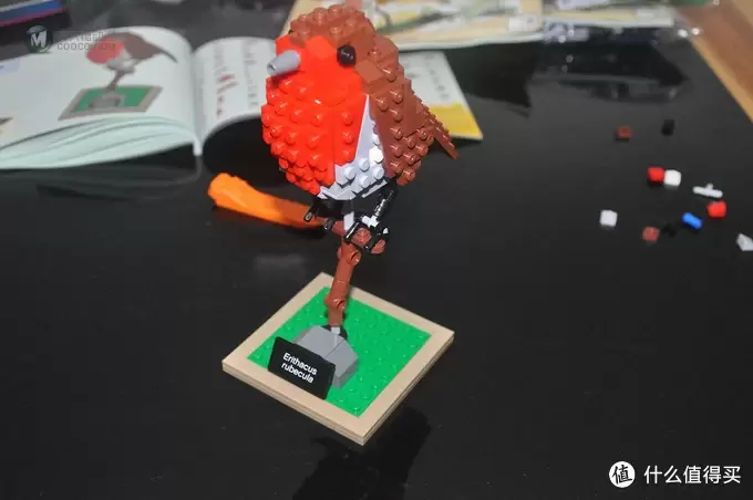 单反毁一生，LEGO穷三代 篇三十：【ebay好物分享会】LEGO ideas 21301 birds 鸟类图鉴