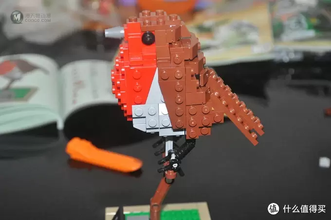 单反毁一生，LEGO穷三代 篇三十：【ebay好物分享会】LEGO ideas 21301 birds 鸟类图鉴