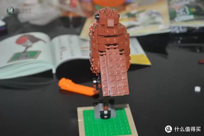 单反毁一生，LEGO穷三代 篇三十：【ebay好物分享会】LEGO ideas 21301 birds 鸟类图鉴
