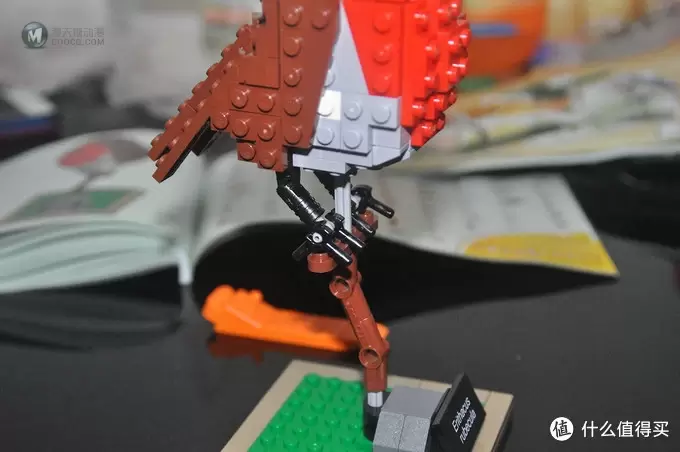 单反毁一生，LEGO穷三代 篇三十：【ebay好物分享会】LEGO ideas 21301 birds 鸟类图鉴