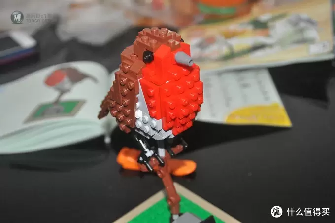 单反毁一生，LEGO穷三代 篇三十：【ebay好物分享会】LEGO ideas 21301 birds 鸟类图鉴