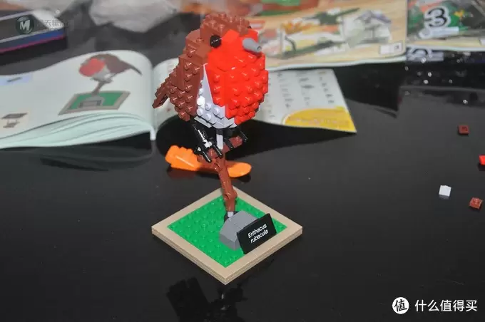 单反毁一生，LEGO穷三代 篇三十：【ebay好物分享会】LEGO ideas 21301 birds 鸟类图鉴
