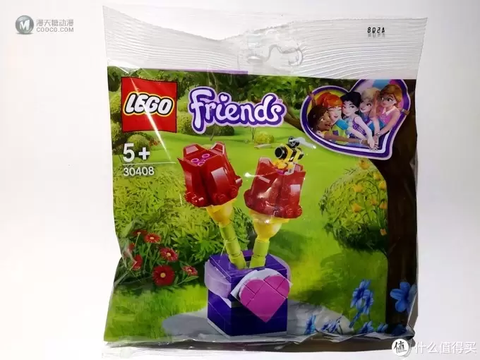 赠品也美丽—乐高 Lego 30408 郁金香