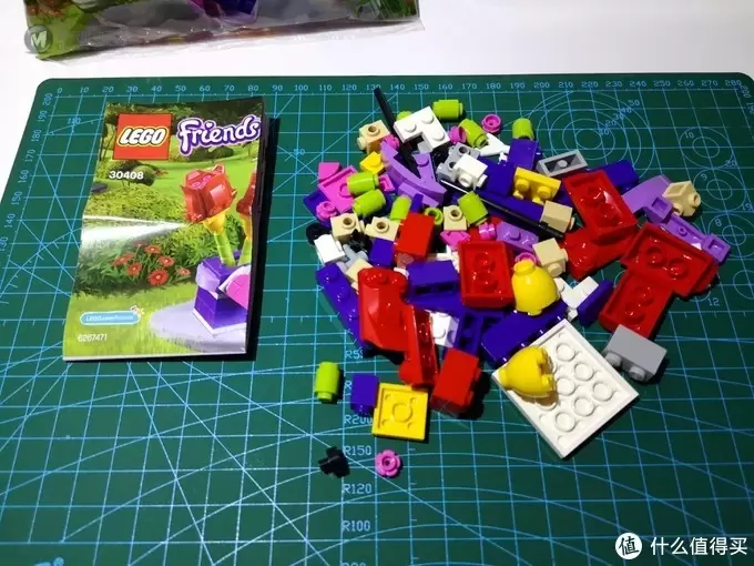 赠品也美丽—乐高 Lego 30408 郁金香