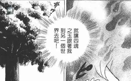 桔梗，给了我们相见的理由