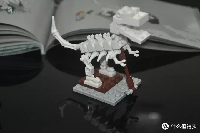 单反毁一生，LEGO穷三代 篇二十九：【ebay好物分享会】LEGO IDEAS 21110 Research Institute 研究室