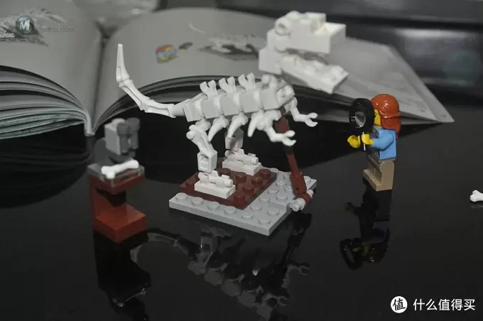 单反毁一生，LEGO穷三代 篇二十九：【ebay好物分享会】LEGO IDEAS 21110 Research Institute 研究室