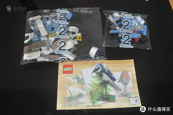 单反毁一生，LEGO穷三代 篇三十：【ebay好物分享会】LEGO ideas 21301 birds 鸟类图鉴