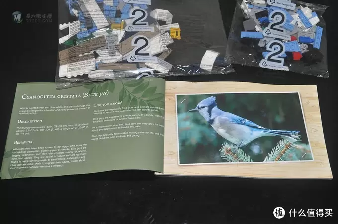 单反毁一生，LEGO穷三代 篇三十：【ebay好物分享会】LEGO ideas 21301 birds 鸟类图鉴