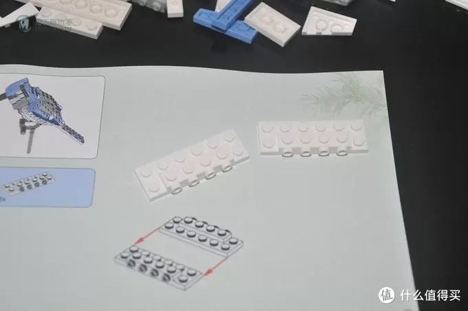 单反毁一生，LEGO穷三代 篇三十：【ebay好物分享会】LEGO ideas 21301 birds 鸟类图鉴