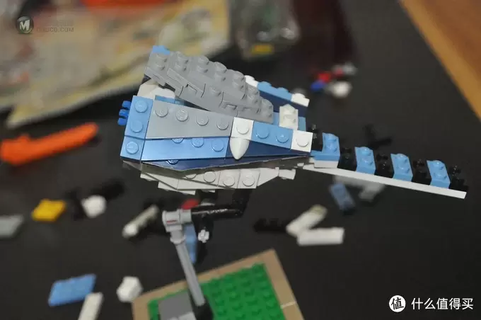 单反毁一生，LEGO穷三代 篇三十：【ebay好物分享会】LEGO ideas 21301 birds 鸟类图鉴