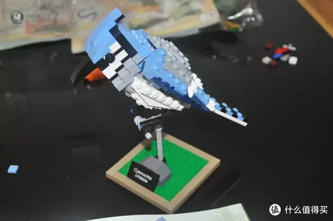 单反毁一生，LEGO穷三代 篇三十：【ebay好物分享会】LEGO ideas 21301 birds 鸟类图鉴