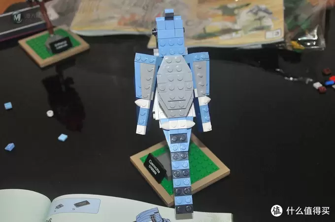 单反毁一生，LEGO穷三代 篇三十：【ebay好物分享会】LEGO ideas 21301 birds 鸟类图鉴