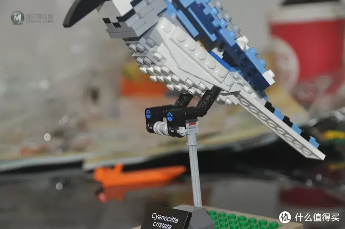 单反毁一生，LEGO穷三代 篇三十：【ebay好物分享会】LEGO ideas 21301 birds 鸟类图鉴