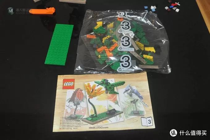 单反毁一生，LEGO穷三代 篇三十：【ebay好物分享会】LEGO ideas 21301 birds 鸟类图鉴