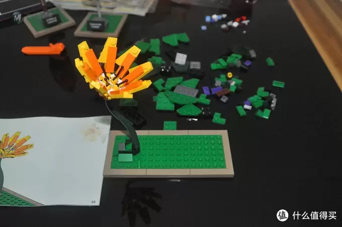 单反毁一生，LEGO穷三代 篇三十：【ebay好物分享会】LEGO ideas 21301 birds 鸟类图鉴