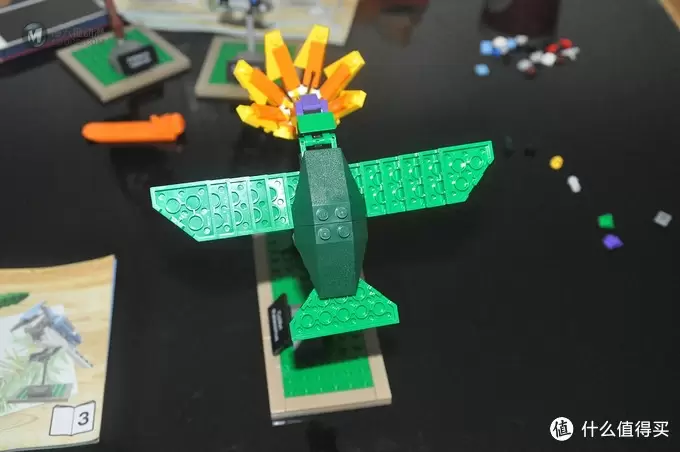 单反毁一生，LEGO穷三代 篇三十：【ebay好物分享会】LEGO ideas 21301 birds 鸟类图鉴