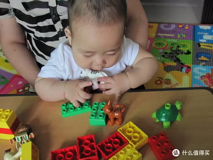 最最最入门的乐高：给6个月大的儿子玩的LEGO 乐高 得宝 动物拼砌包 30063/30064