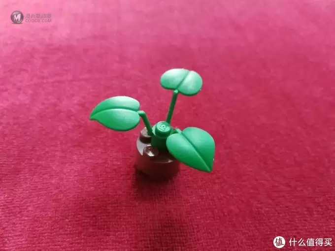 21303瓦力，带我入了乐高坑