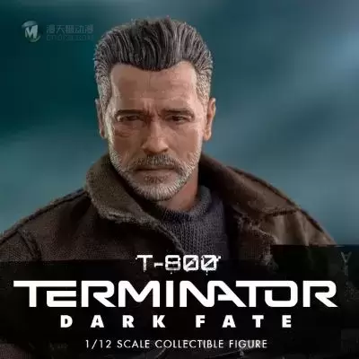 未来战士：黑暗命运 T-800