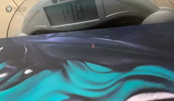 幽游白书 飞影